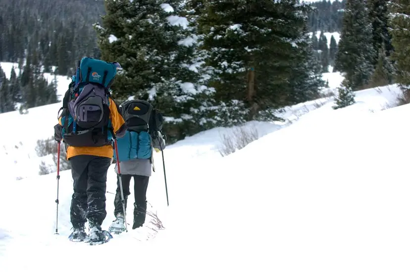 Two winter adventurers use poles and snowshoes to trek along a snowy landscape in Colorado's backcountry.